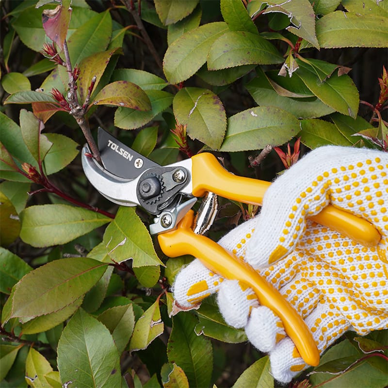 8″ BYPASS PATTERN PRUNING SHEARS (INDUSTRIAL) thumbnail 10