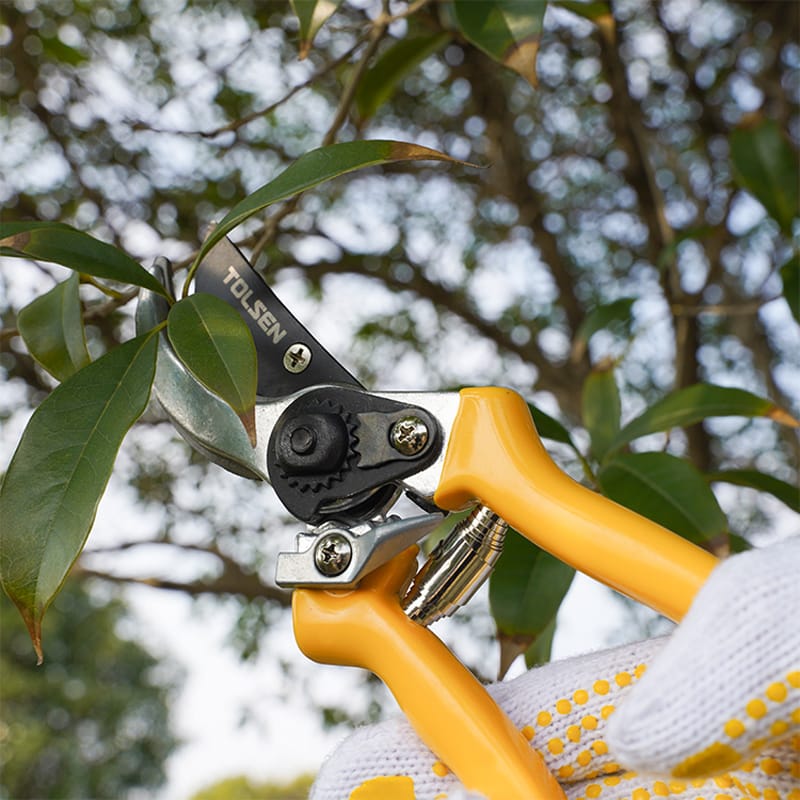 8″ BYPASS PATTERN PRUNING SHEARS (INDUSTRIAL) thumbnail 9